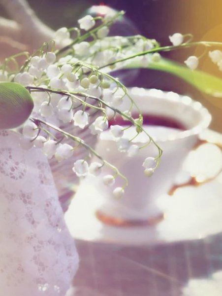 Нежный натюрморт