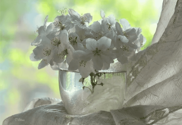 Добрый день картинки красивые необычные нежные девушке