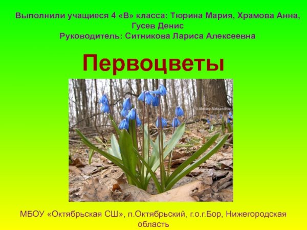 Охрана раннецветущих растений