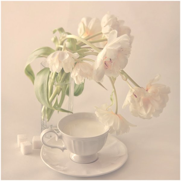 Нежные цветы в вазе