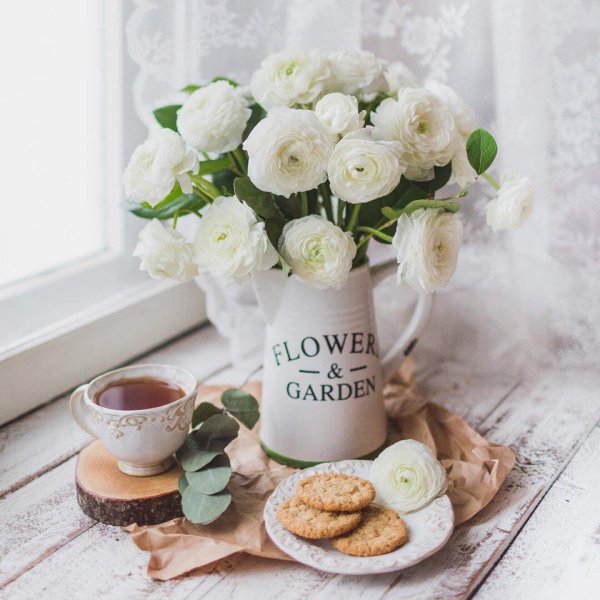 Павел Кацура Лахколампи