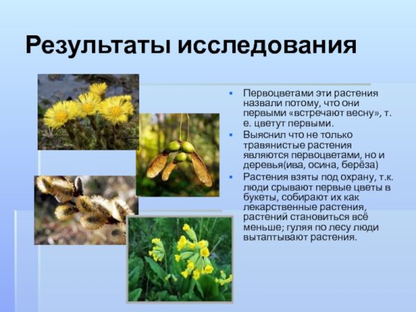 Раннецветущие растения Орловской области