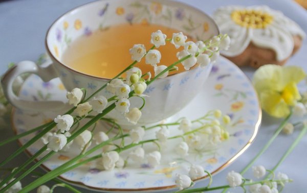 Нежные цветы и кофе