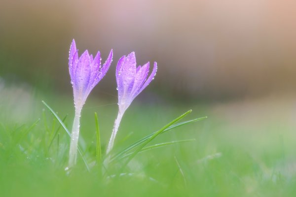 Весна приближается