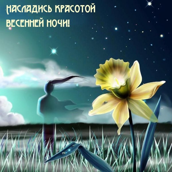 Подснежники вечером