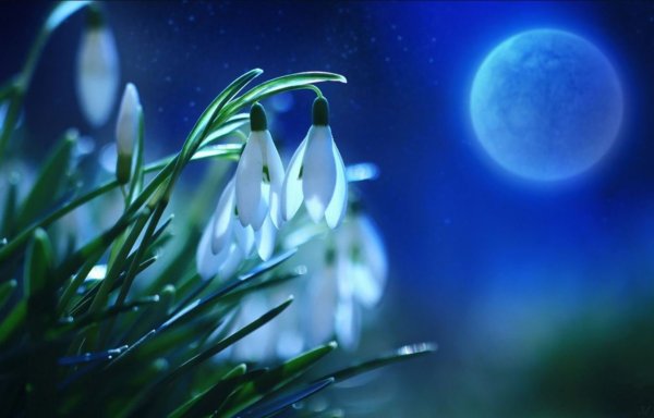 Открытки спокойной ночи