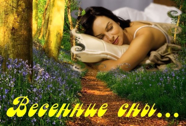 Доброй весенней ночи