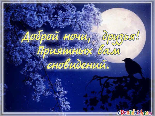 Доброй ночи Весна