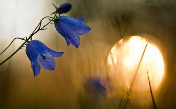 Апрельский вечер