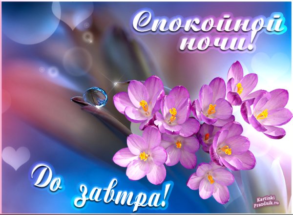 Открытки спокойной ночи