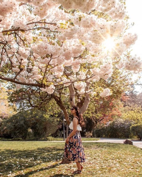 Весеннее Вдохновение