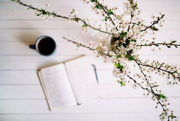 Весеннее Вдохновение