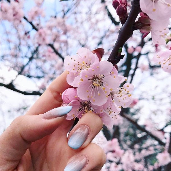 Весна Вдохновение