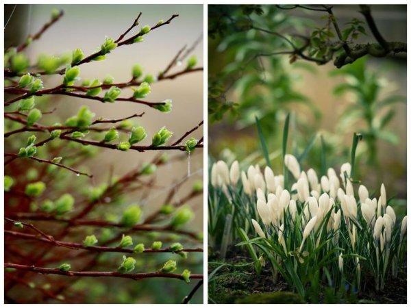 Весеннее Вдохновение