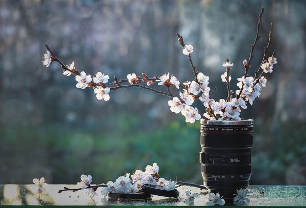 Весна Вдохновение