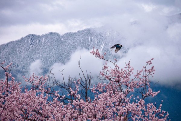 Вдохновение зимой