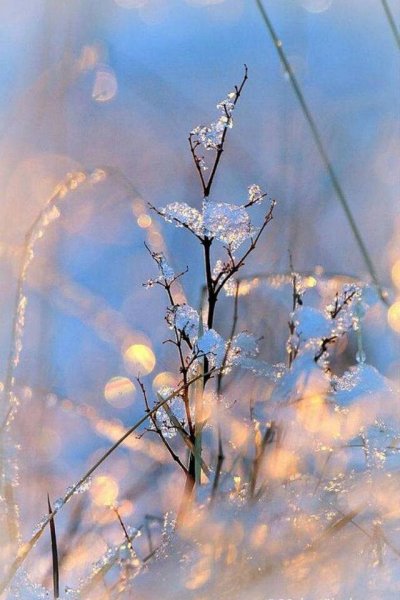 Весеннее настроение рисунок