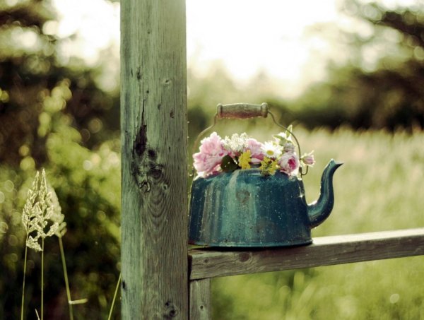 Красивые раскладки с цветами