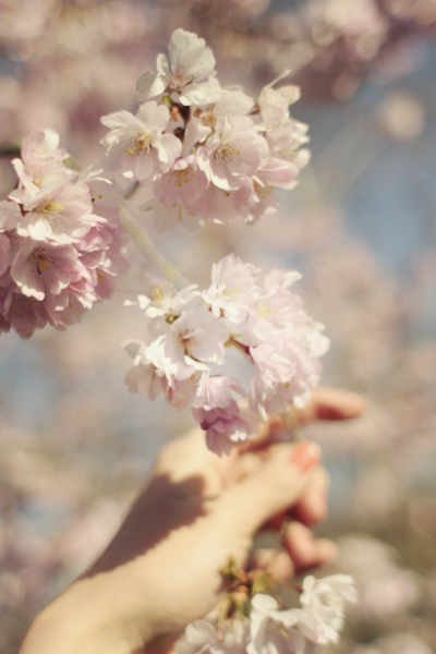 Качели на природе