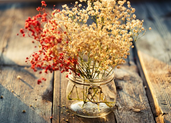 Природа в мятных тонах