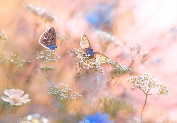 Картиночки для вдохновения