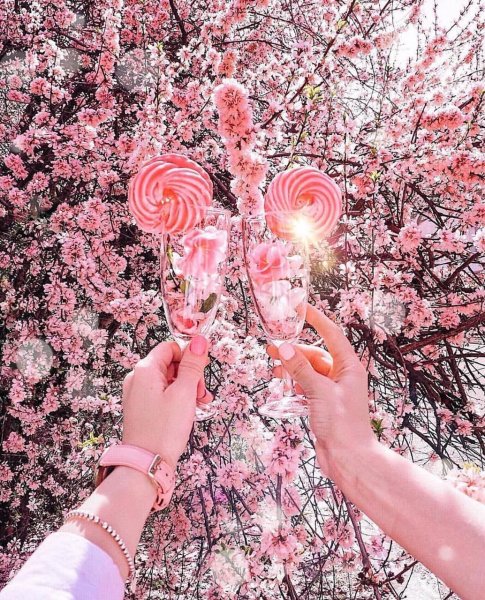 Рододендрон Архыз