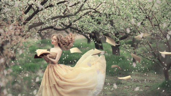 Вдохновение цветами зима