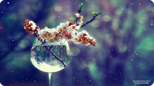 Весна в баночках