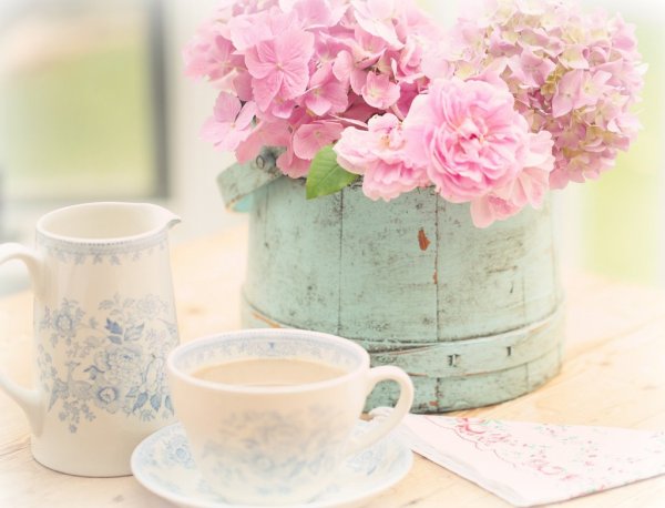 Утро птички