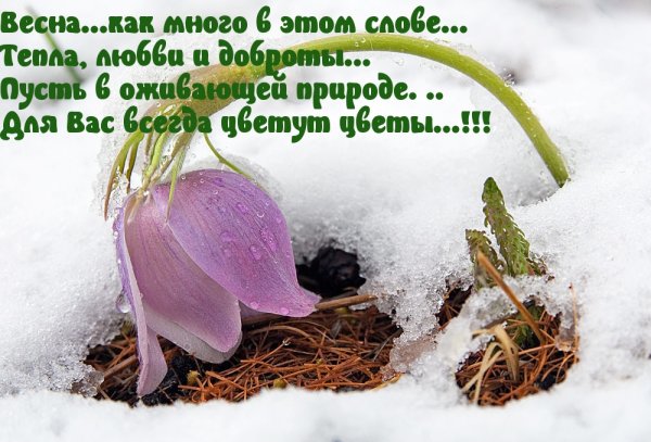 Апрельские проталинки