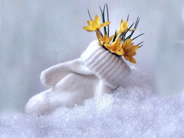 Пейзаж с подснежниками