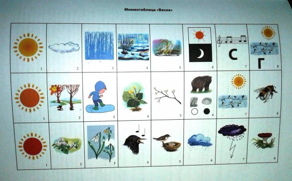 Мнемотаблицы по экологии для дошкольников