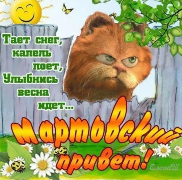 Хорошего весеннего дня смешные