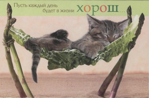 Рисунки Инги Пальцер