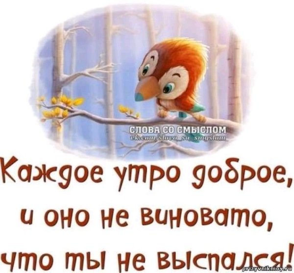 Хорошего утра и дня и отличного настроения
