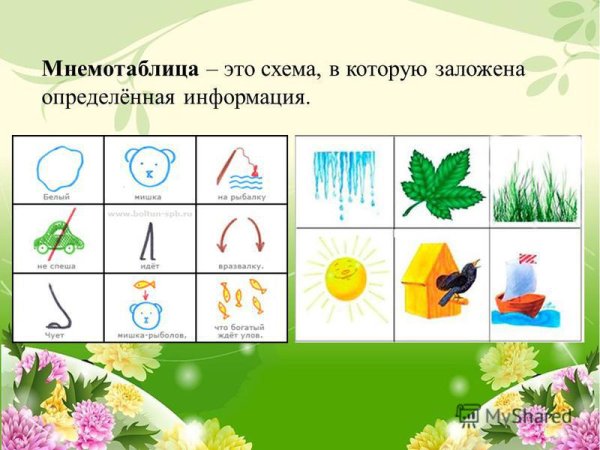 Экология Воронкевич подготовительная группа