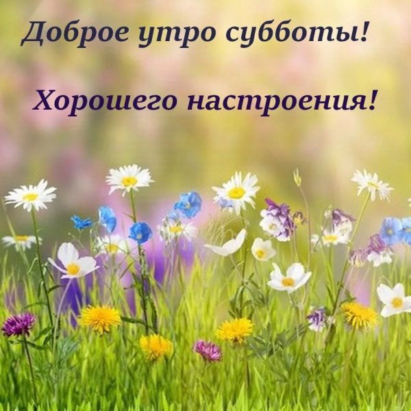 Доброе Весеннее субботнее утро
