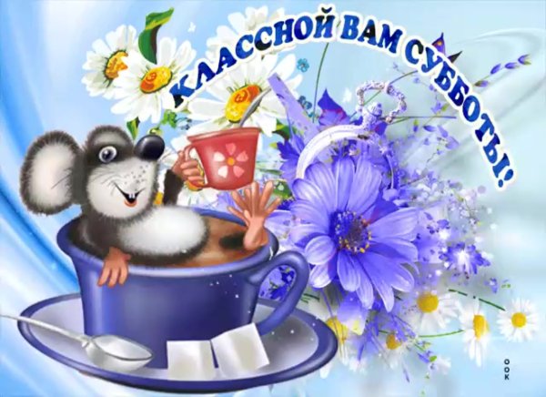 С добрым весенним утром субботы