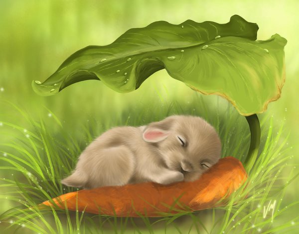 Весна и котики