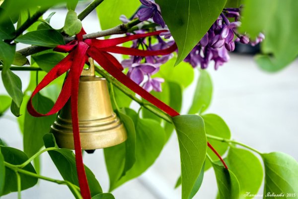 Выпускной фон