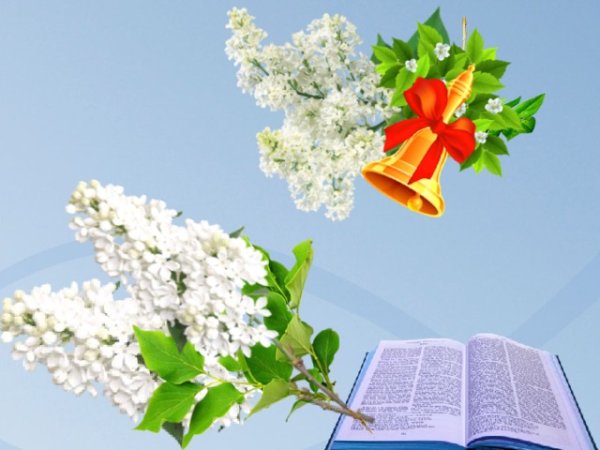 Последний звонок открытка