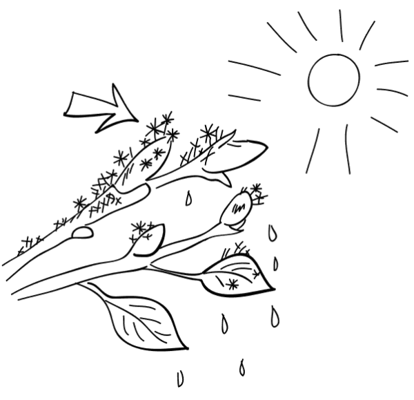 Стихи про весну для детей короткие