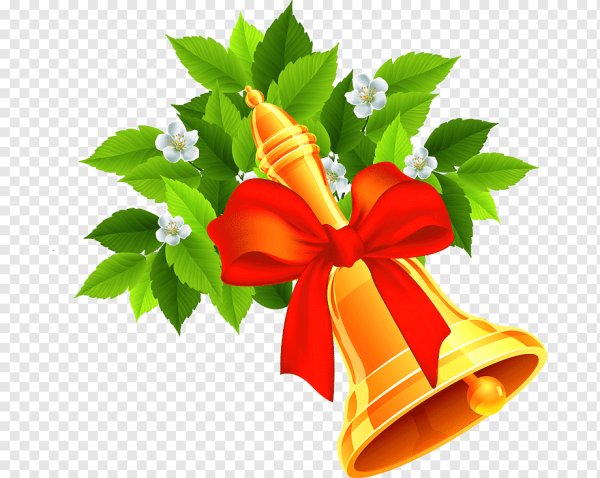 Фон для выпускников школы