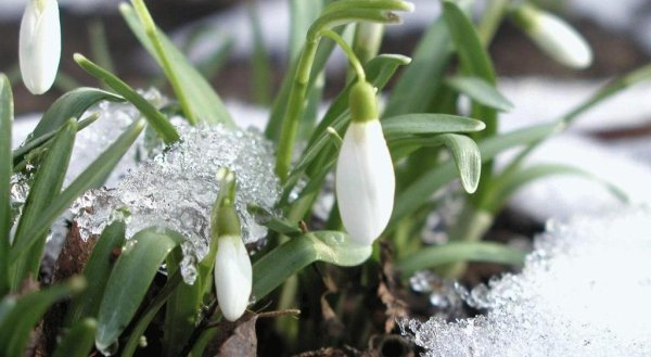 Праздник прихода весны