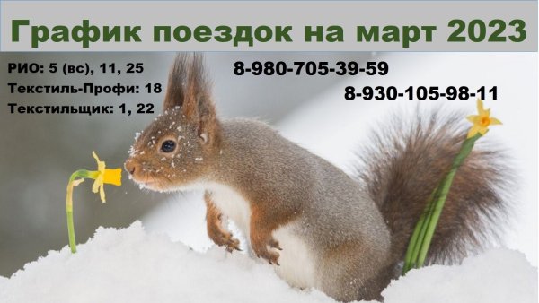 С добрым утром Весна