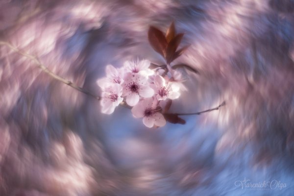 Весенний вальс