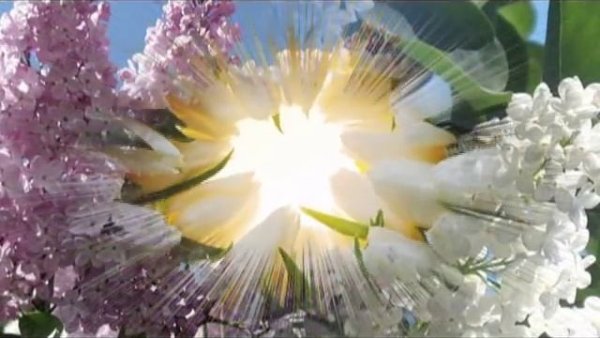 Пара кружится в танце