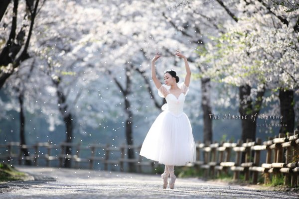 Живопись любовь в весеннем саду