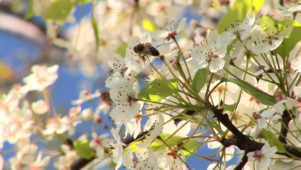 Вальс счастье