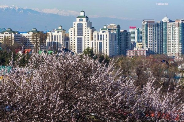Алматы Весна